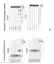 Fig. 03 - Method for producing tissue and organ