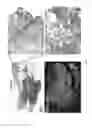Fig. 06 - Method for producing tissue and organ