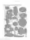 Fig. 33 - Method for producing tissue and organ