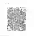 Fig. 08 - Method for producing model animal, and model animal
