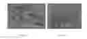 Fig. 06 - TRANSGENIC CHICKENS