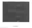 Fig. 14 - TRANSGENIC CHICKENS
