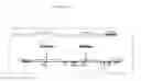 Fig. 19 - TRANSGENIC CHICKENS