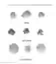 Fig. 02 - Lettuce variety multigreen 50