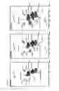 Fig. 45 - ENHANCING CELL WALL PROPERTIES IN PLANTS OR TREES