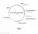 Fig. 02 - Polypeptides Having Xylanase Activity and Polynucleotides Encoding Same