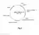 Fig. 04 - Polypeptides Having Xylanase Activity and Polynucleotides Encoding Same