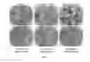 Fig. 03 - Compositions Having Dicamba Decarboxylase Activity and Methods of Use