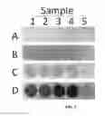 Fig. 06 - Compositions Having Dicamba Decarboxylase Activity and Methods of Use