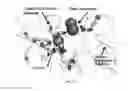 Fig. 12 - Compositions Having Dicamba Decarboxylase Activity and Methods of Use