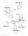 Fig. 13 - Compositions Having Dicamba Decarboxylase Activity and Methods of Use