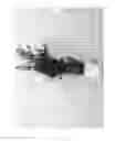 Fig. 02 - Mint Plant 'Hoodoo Mint'