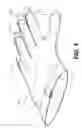 Fig. 02 - Sanitary Palm Protector