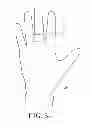 Fig. 06 - Golf Glove