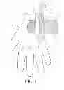 Fig. 09 - Golf Glove