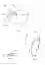 Fig. 09 - Sweat diverter