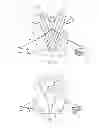 Fig. 04 - UPPER BODY PROTECTIVE SYSTEM