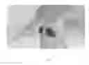 Fig. 02 - Supporting and protecting article for the human torso