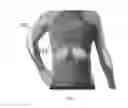 Fig. 08 - Supporting and protecting article for the human torso