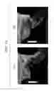 Fig. 10 - Flush toilet