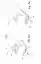 Fig. 09 - Apparatus and method for assisting impaired or disabled persons