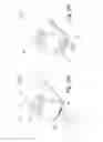 Fig. 09 - Apparatus and method for assisting impaired or disabled persons