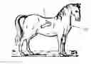 Fig. 01 - Manual brushing device for animals, horses in particular