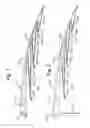 Fig. 02 - Surface Wiper Arrangement