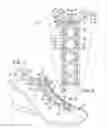 Fig. 02 - Lacing closure system for an object