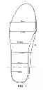 Fig. 02 - ITEM OF FOOTWEAR