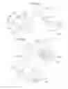 Fig. 07 - Selective access to cryopreserved samples