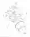 Fig. 02 - External combustion engine