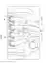 Fig. 04 - Exhaust device of multi-cylinder engine