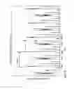 Fig. 06 - Exhaust pipe structure for internal combustion engine