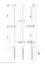 Fig. 08 - Exhaust pipe structure for internal combustion engine
