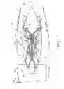 Fig. 02 - Cyclonic dirt separating turbine accelerator