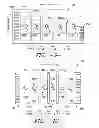 Fig. 06 - Conduction based magneto caloric heat pump