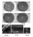 Fig. 08 - Sensors using optical RF oscillators