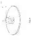 Fig. 06 - Testing fixture