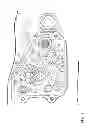 Fig. 06 - Power unit for saddle-type vehicle