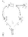 Fig. 04 - Animal training system