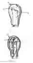 Fig. 06 - Nail polish remover method and device