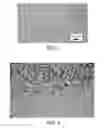 Fig. 02 - Aligned networks on substrates