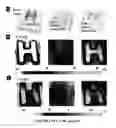 Fig. 34 - Slippery surfaces with high pressure stability, optical transparency, and self-healing characteristics