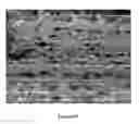 Fig. 41 - Slippery surfaces with high pressure stability, optical transparency, and self-healing characteristics