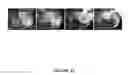 Fig. 46 - Slippery surfaces with high pressure stability, optical transparency, and self-healing characteristics