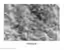 Fig. 08 - Slippery surfaces with high pressure stability, optical transparency, and self-healing characteristics
