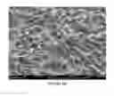 Fig. 09 - Slippery surfaces with high pressure stability, optical transparency, and self-healing characteristics