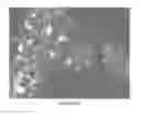 Fig. 12 - Slippery surfaces with high pressure stability, optical transparency, and self-healing characteristics