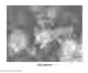 Fig. 13 - Slippery surfaces with high pressure stability, optical transparency, and self-healing characteristics